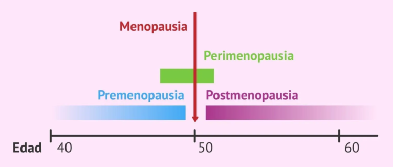 Perimenopausia y Menopausia